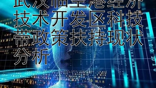 武汉临空港经济技术开发区科技带政策扶持现状分析