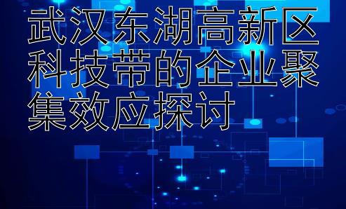 武汉东湖高新区科技带的企业聚集效应探讨