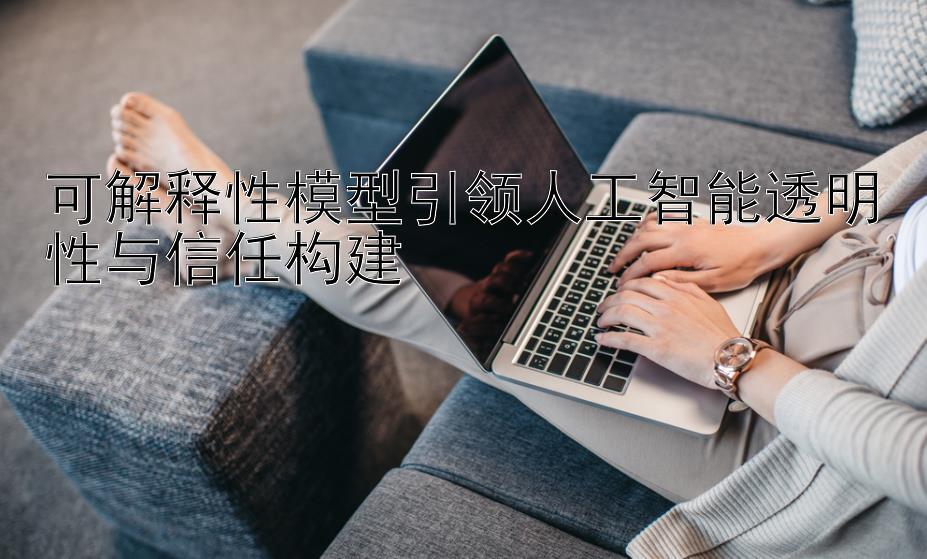 可解释性模型引领人工智能透明性与信任构建